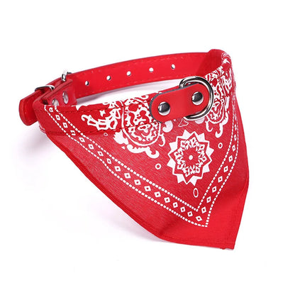 PU cat dog collar with scarf blue multiple color options flat lay