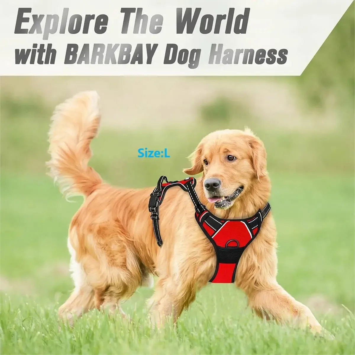 FurencePet™ ClassicWalk: Premium Harness & Leash Set