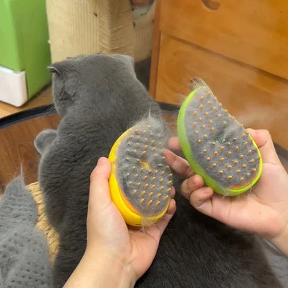 Cat dog steam brush electric all four colors flat lay