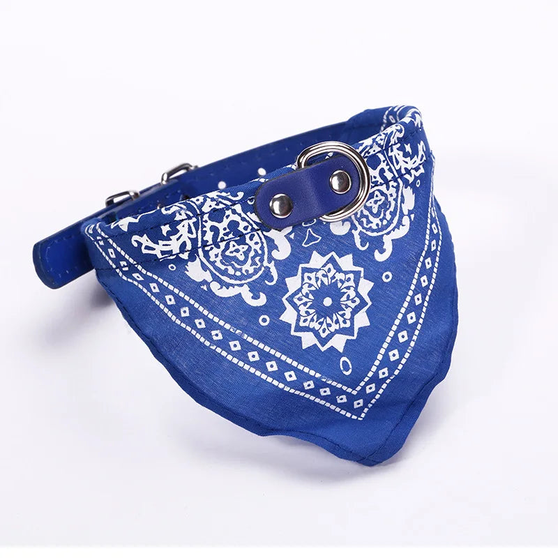 PU cat dog collar with scarf blue multiple color options flat lay