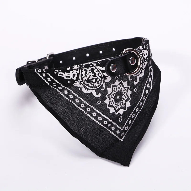 PU cat dog collar with scarf blue multiple color options flat lay