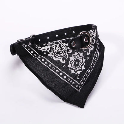 PU cat dog collar with scarf blue multiple color options flat lay