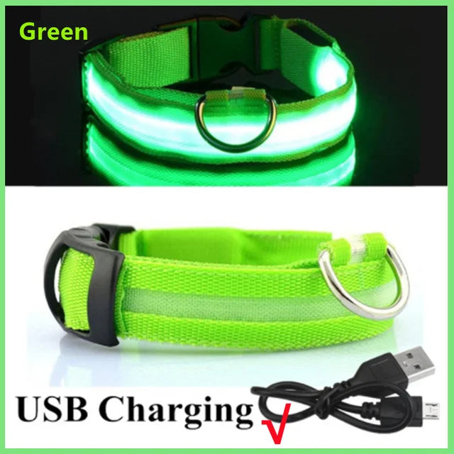USB Rechargeable LED Glowing Dog Collar – Adjustable Night Safety