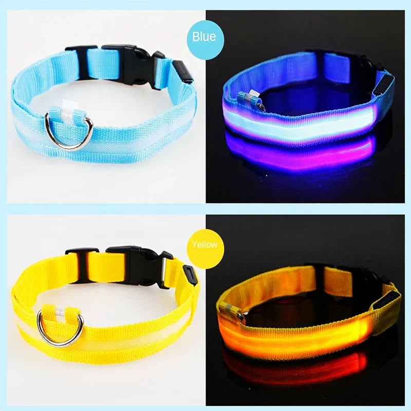 USB Rechargeable LED Glowing Dog Collar – Adjustable Night Safety
