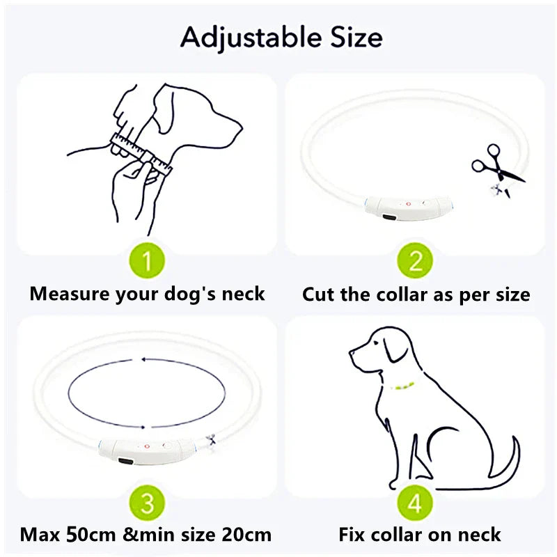 USB Rechargeable LED Glowing Dog Collar – Adjustable Night Safety