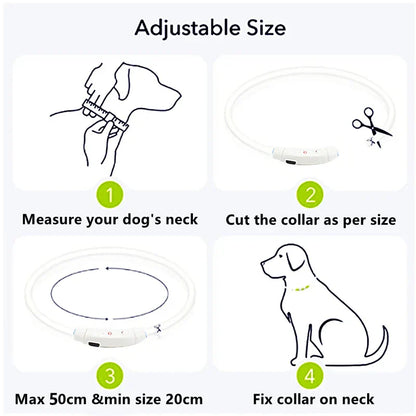 USB Rechargeable LED Glowing Dog Collar – Adjustable Night Safety