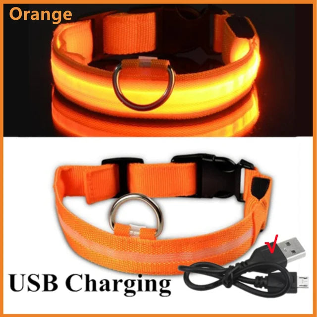 USB Rechargeable LED Glowing Dog Collar – Adjustable Night Safety