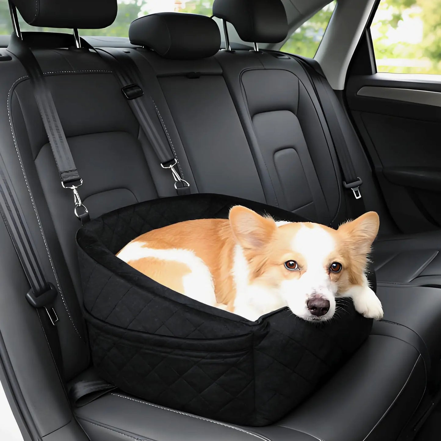 Dog booster car seat small dog inside secure safety belt