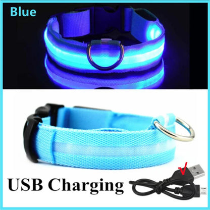 USB Rechargeable LED Glowing Dog Collar – Adjustable Night Safety