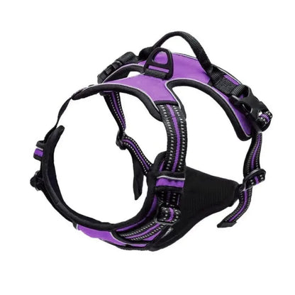 FurencePet™ ClassicWalk: Premium Harness & Leash Set