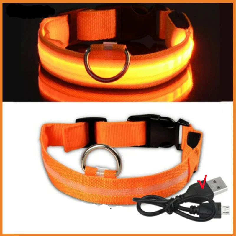 USB Rechargeable LED Glowing Dog Collar – Adjustable Night Safety