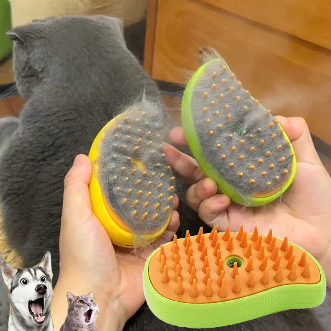 Cat dog steam brush electric chocolate color front view