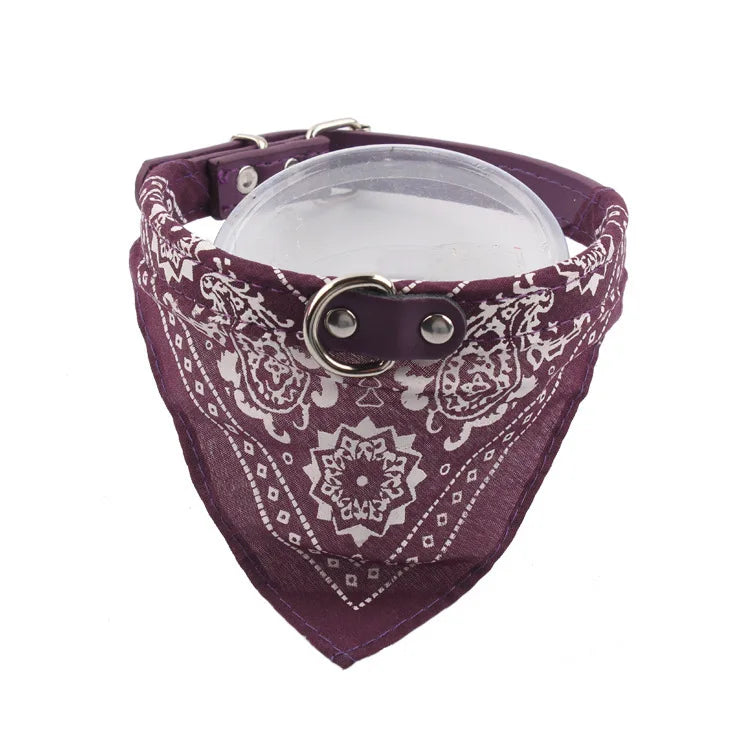PU cat dog collar with scarf blue multiple color options flat lay