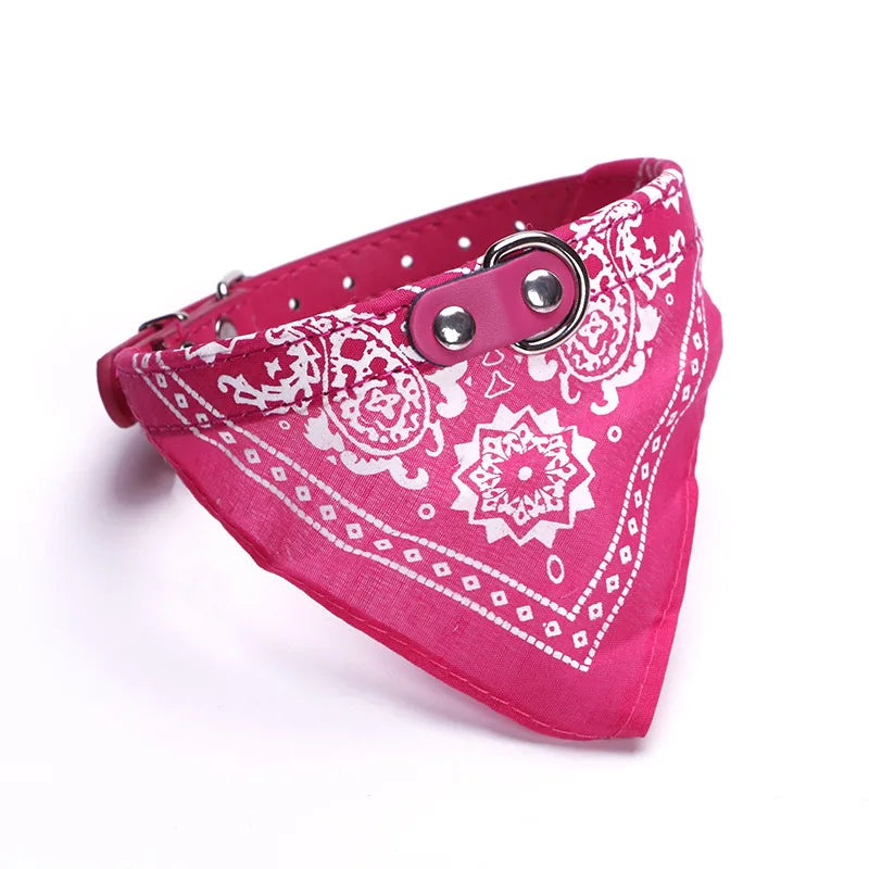 PU cat dog collar with scarf blue multiple color options flat lay