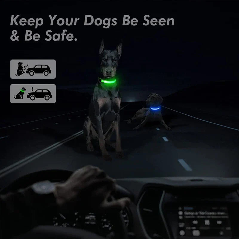 USB Rechargeable LED Glowing Dog Collar – Adjustable Night Safety