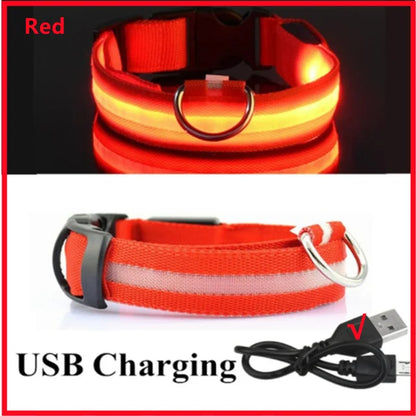 USB Rechargeable LED Glowing Dog Collar – Adjustable Night Safety