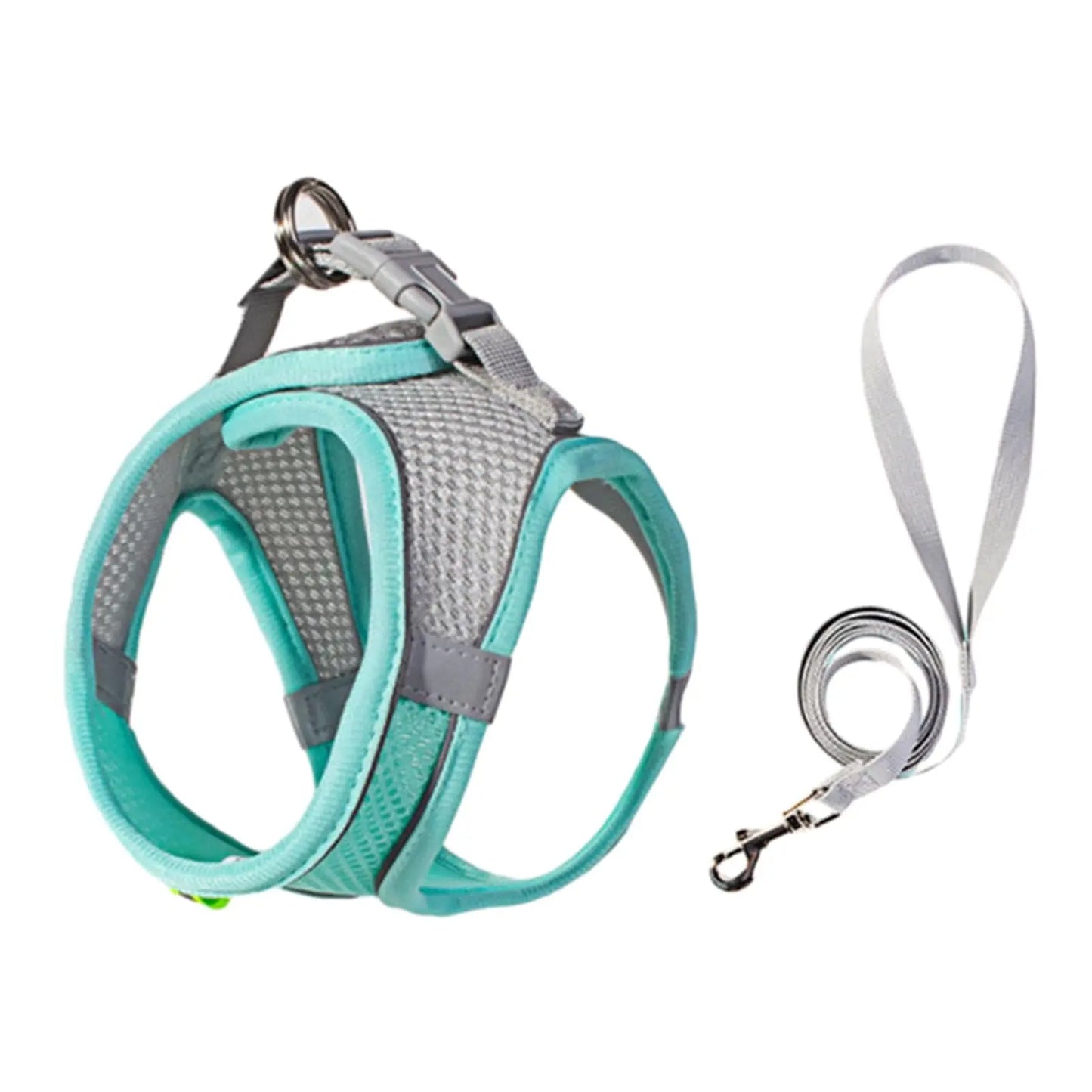 Cat harness and leash escape proof worn by cat outdoor walk