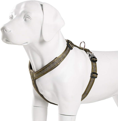 No pull dog harness reflective adjustment points and buckle detail