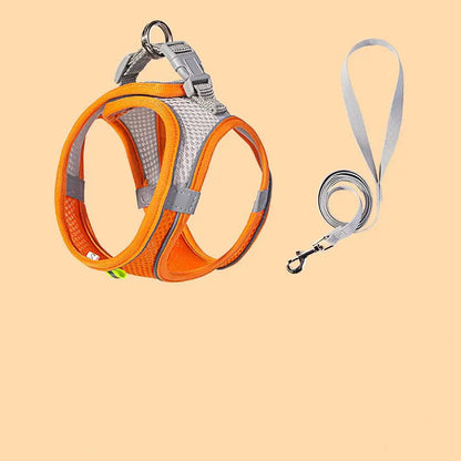 Cat harness and leash escape proof all sizes green gray flat lay