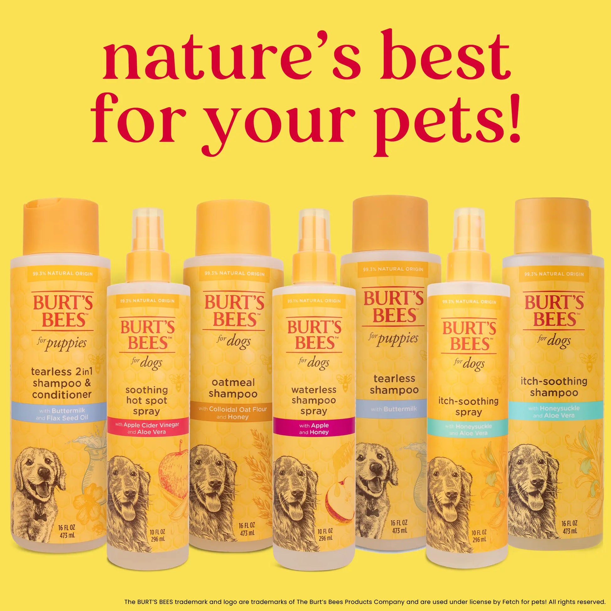 Waterless dry shampoo for dogs applied to golden retriever coat