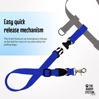 Hands free dog leash for running converted to hand held leash mode