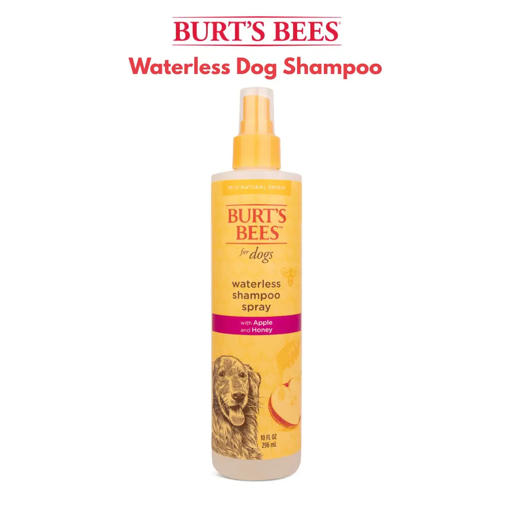 Waterless dry shampoo for dogs Burts Bees apple honey bottle front