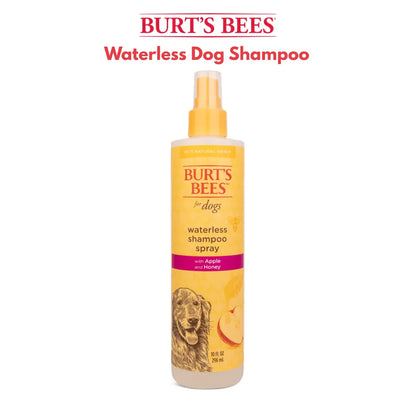 Waterless dry shampoo for dogs Burts Bees apple honey bottle front