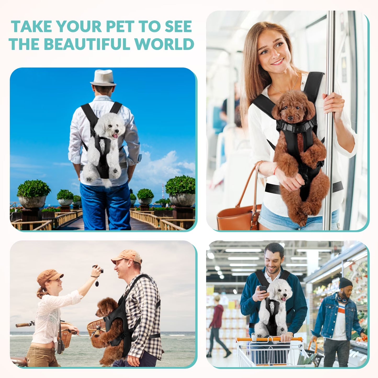 Pet carrier backpack small dogs black adjustable straps buckle detail