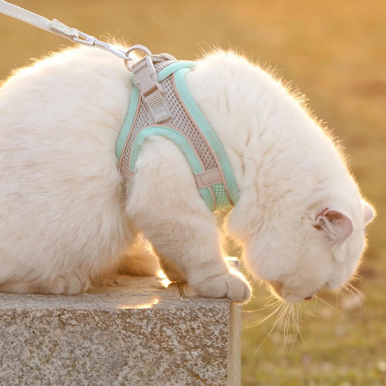Cat harness and leash escape proof all sizes green gray flat lay