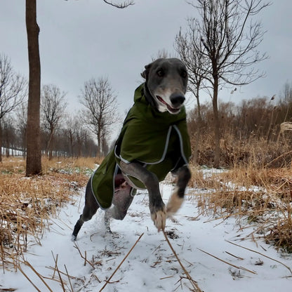 Winter reflective dog coat large breed full body fit view