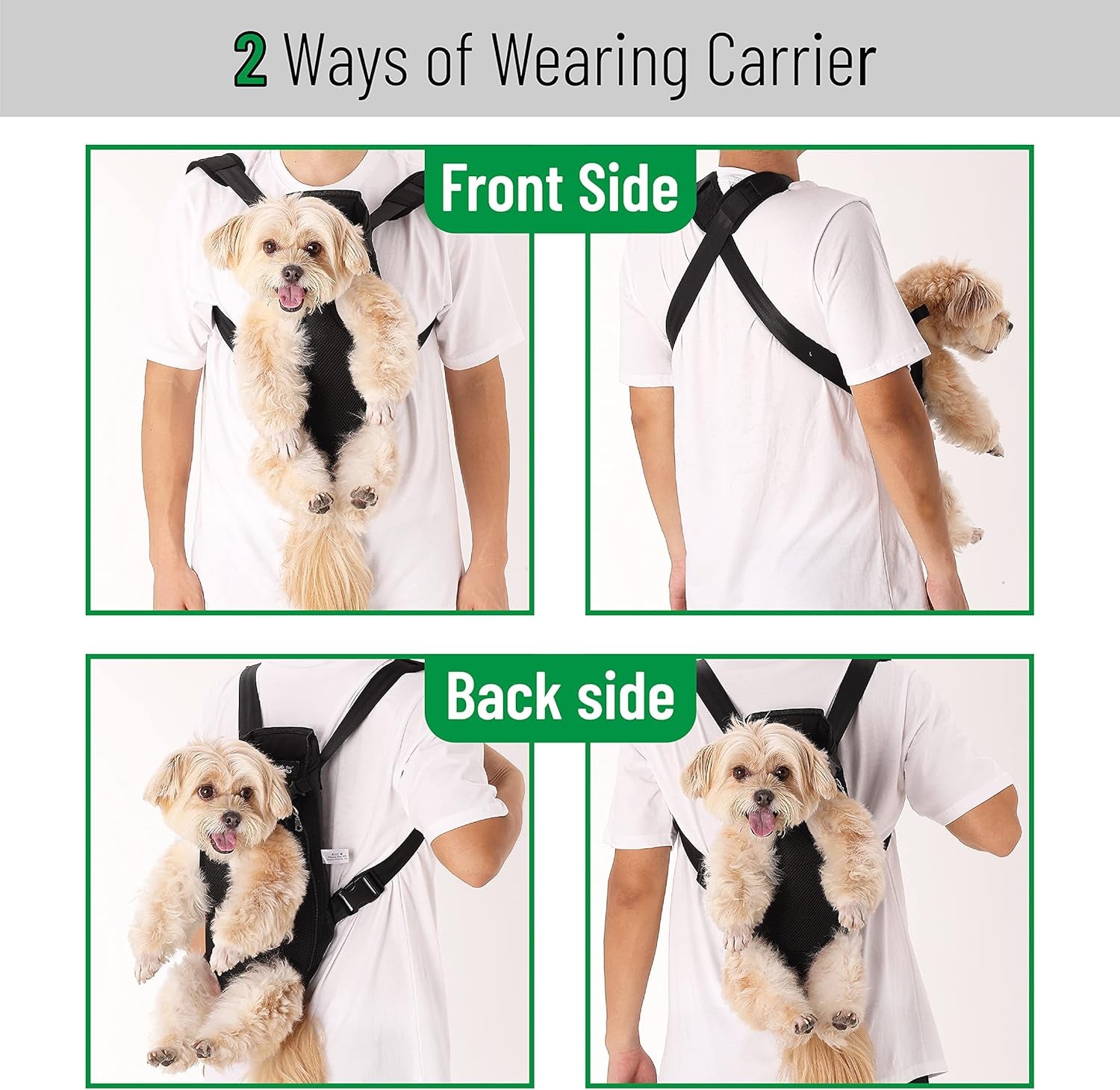Dog carrier backpack up to 12 lbs back wear position outdoor use