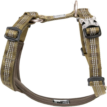 No pull dog harness reflective trail runner worn by large dog