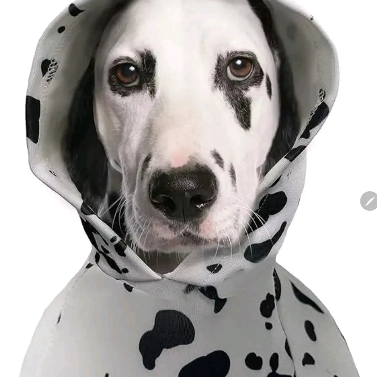 Dog Dalmatian Costume Dalmatian Print Dog Hoodie Pet Clothes Sweaters 3XL
