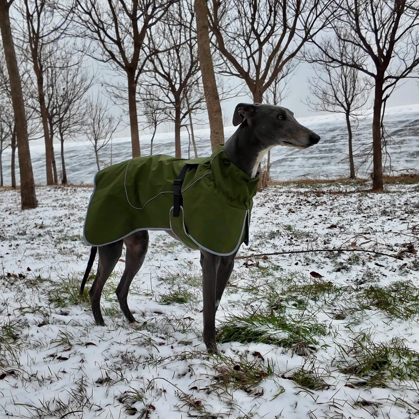 Winter reflective dog coat large breed full body fit view