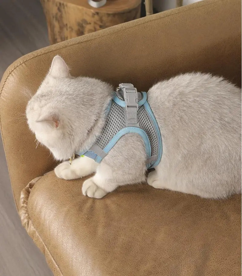 Cat harness and leash escape proof all sizes green gray flat lay
