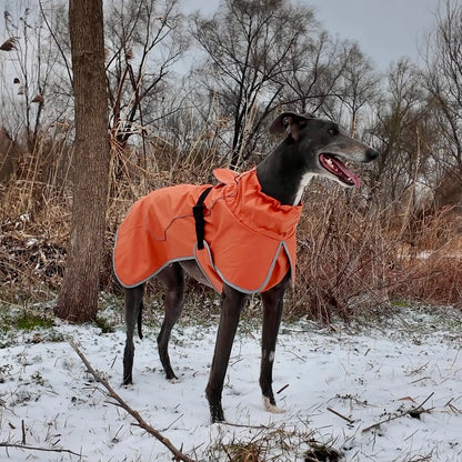 Winter reflective dog coat large breed full body fit view