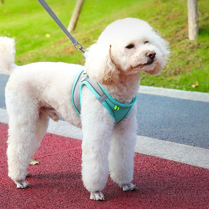 Cat harness and leash escape proof buckle and fastener detail