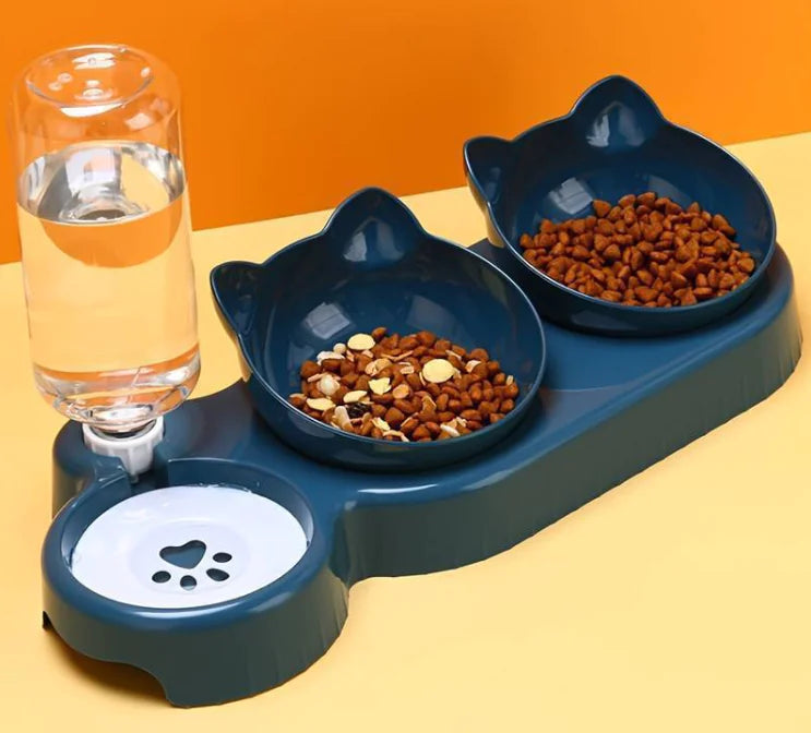 3-in-1 Tilted Cat Bowl Set