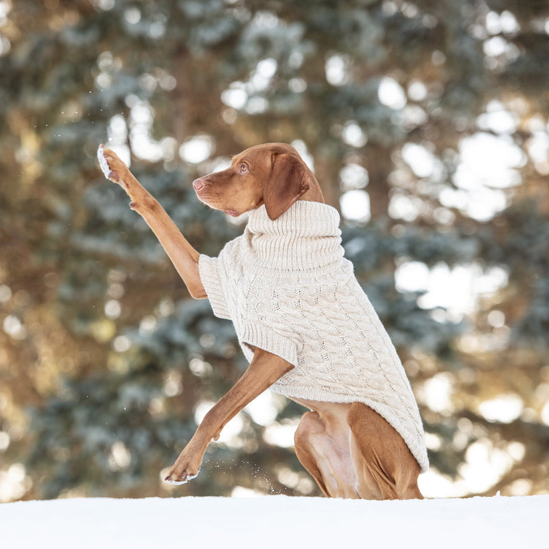 Cozy Canine Turtleneck - GF Pet Oatmeal Chalet Sweater