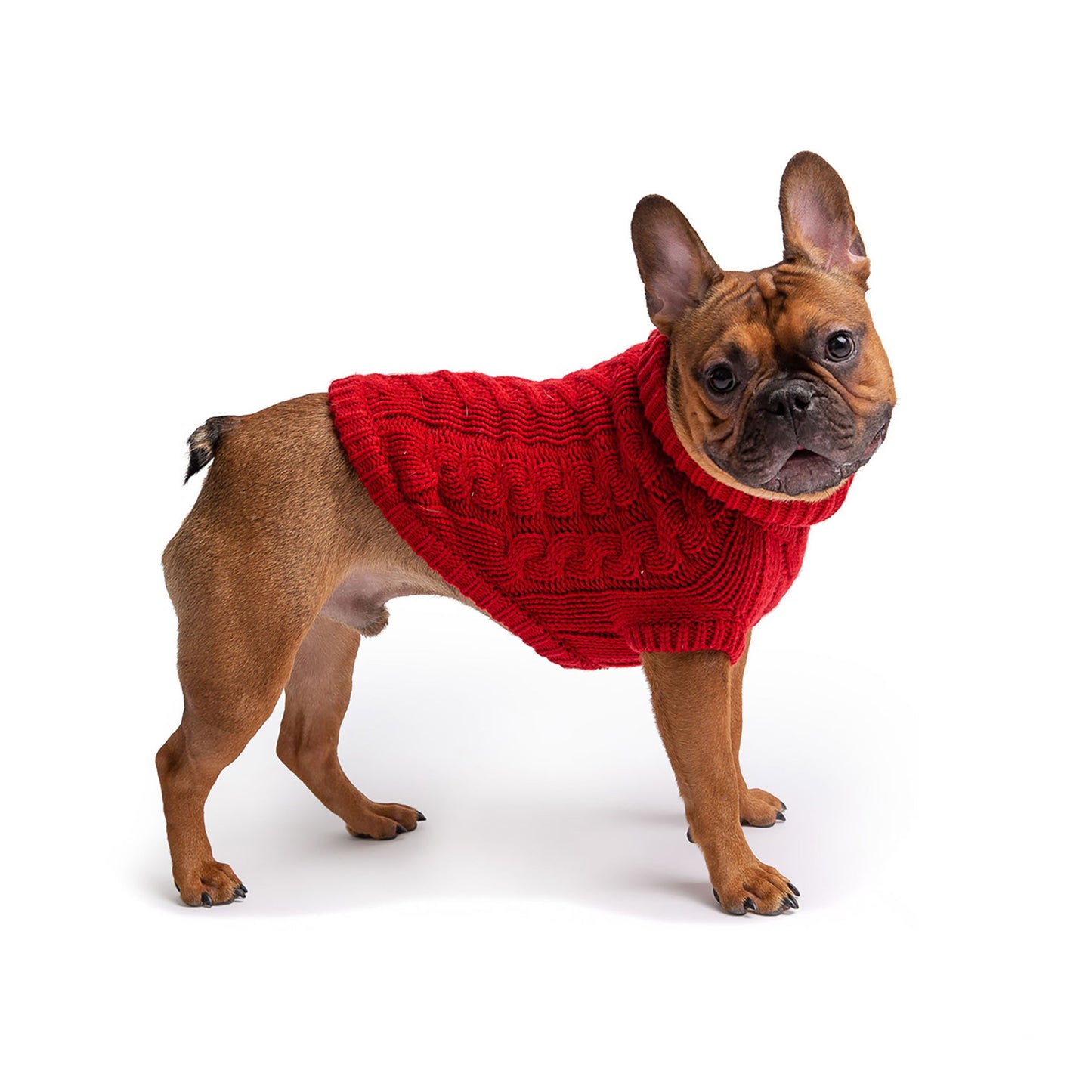 Cozy Canine Turtleneck - GF Pet Red Chalet Sweater