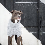 Cozy Canine Turtleneck - GF Pet Gray Chalet Sweater